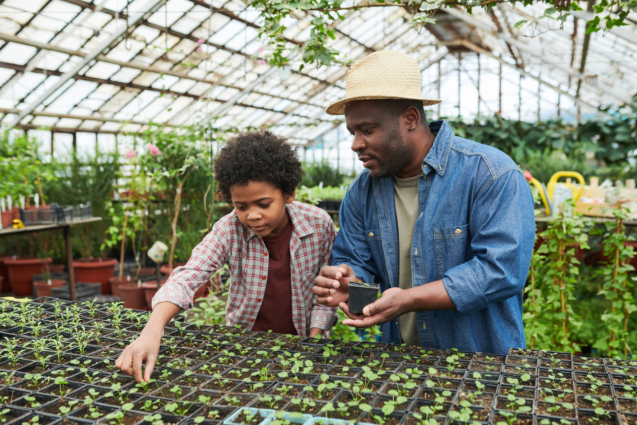 man and son in greenhouse