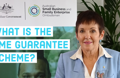 What is the SME Guarantee Scheme