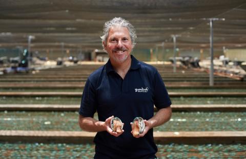 Tim Rudge, Yumbah Aquaculture