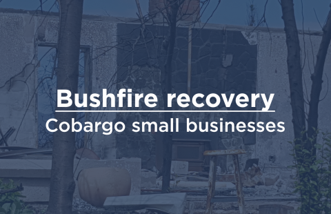 Bushfire Recovery