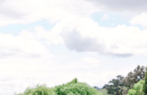 Sarah and John Collingwood, Four Winds Vineyard