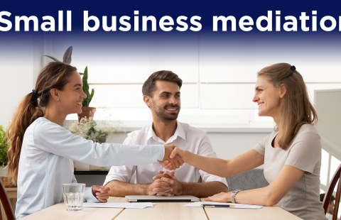 mediation