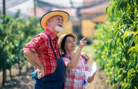 farmers