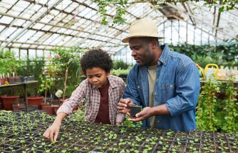 man and son in greenhouse